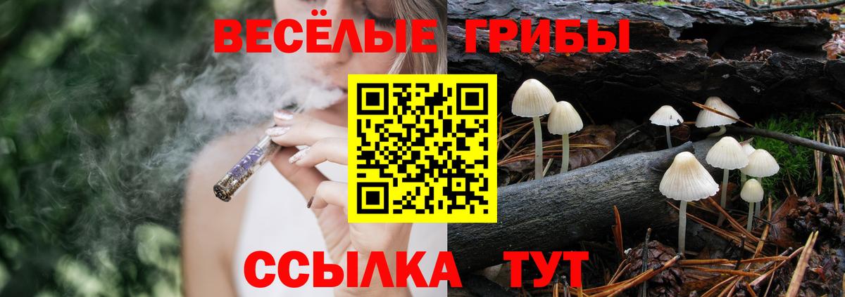 Тихорецк  Галлюциногенные грибы Psilocybine cubensis  где можно купить наркотик  Вход с VPN 